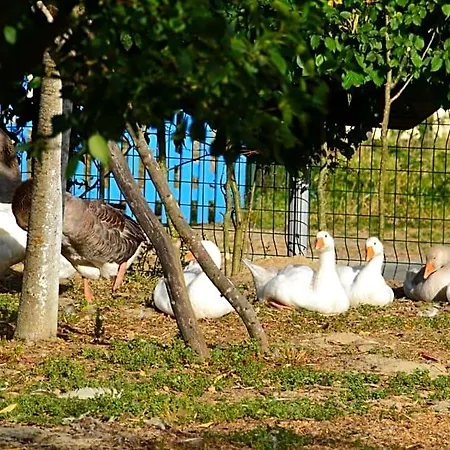 Alaguyauder Le Kota 3* Chatillon-sur-Broue